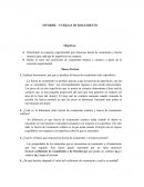 INFORME – FUERZAS DE ROZAMIENTO