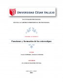 Las funciones de los Estereotipos