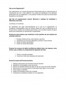 Tp 1 de economia Que es una Organización?