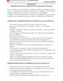 NORMAS DE BUENA CONDUCTA EN ESPACIOS VIRTUALES