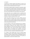 Ensayo de inmigracion