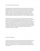 Medidas para Evitar Daños por Agua