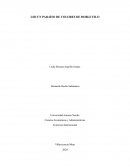 LSD un paraíso de colores de doble filo