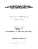 ANÁLISIS DE RECUPERACIÓN POR BIORREMEDIACIÓN, DE LAS CONDICIONES MEDIOAMBIENTALES AFECTADAS POR VALVULAS ILÍCITAS EN BARRANCABERMEJA