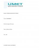 LO BUENO Y MALO A MI PARECER