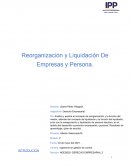 Reorganización y Liquidación De Empresas y Persona