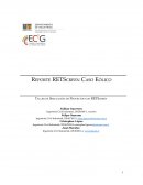 Reporte RETScreen Caso Eólico