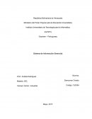 Sistema de información gerencial