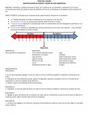 PRACTICA CASERA IDENTIFICACIÓN DE ACIDOS Y BASES DE USO DOMÉSTICO