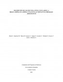 DESCRIPCIÓN DE LOS EFECTOS A NIVEL CELULAR DE LA PREECLAMPSIA-ECLAMPSIA Y PLACENTA ACCRETA EN EL EMBARAZO ADOLESCENTE