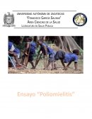 Ensayo “Poliomielitis”