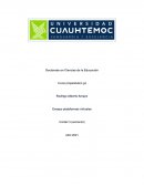 Ensayo plataformas virtuales