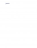 SISTEMAS DE PRODUCCION