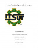 INTERNET DE LAS COSAS -¿es una ventaja o desventaja a largo plazo?