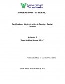Análisis y rediseño organizacional de Bolsas S.R.L.: Mejorando la eficiencia y la competitividad