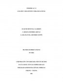 DIAGNOSTICO ORGANIZACIONAL