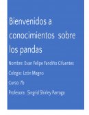 Pandas