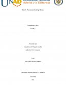 Paso 5: Documentación del problema