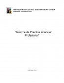 Informe de Practica Inducción Profesional