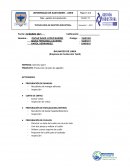 TIPOS DE LAYOUT Geminis Sport