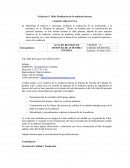 Taller Realización de la auditoría interna