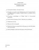 Trabajo Integrador teórico-práctico