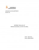 Medida de densidad y volumen de solidos.