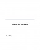 Trabajo Final: Planificación