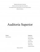 Auditoria Superior. Auto Repuestos Torres C.A