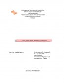 La contabilidad agrícola vegetal