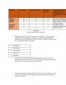 Conceptualización y teorización