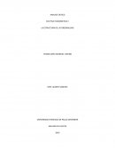 LA ESTRUCTURA DE LA PERSONALIDAD