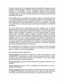 Nomenclatura Química