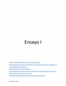 El consumo de carne, ensayo