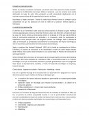 Competir a través del servicio