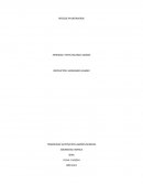 Riesgos de botaderos