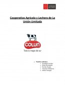 ANALISIS EMPRESA COLUN (ASPECTO TECNOLÓGICO)