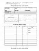 PROGRAMA DE TRABAJO DE LAS ACTIVIDADES EN MATERIA DE SALUD Y SEGURIDAD EN EL TRABAJO