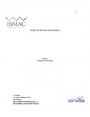 SEGURIDAD INFORMATICA . DESARROLLO DE SOFTWARE