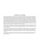 DETRAS DE LA PIZARRA