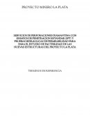 PROYECTO MINERO LA PLATA