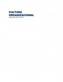 CULTURA ORGANIZACIONAL EMPRESAS-SINDICATOS