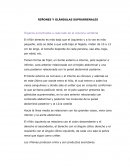 RIÑONES Y GLÁNDULAS SUPRARRENALES