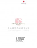 Análisis del Caso Aurus a la luz de todos los conceptos estudiados durante las clases de esta unidad