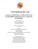 LA BAJA AUTOESTIMA Y SU RELACIÓN CON EL DESARROLLO HUMANO EN LA ADULTEZ INTERMEDIA