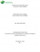 HISTORIA Y CRISIS DE LOS TULIPANES