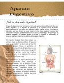APARATO DIGESTIVO