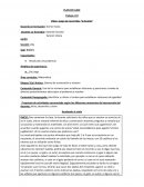 PLAN DE MATEMATICAS NUMERO