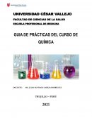GUIA DE PRÁCTICAS DEL CURSO DE QUÍMICA