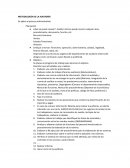 METODOLOGÍA DE LA AUDITORÍA